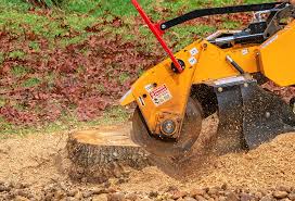 Best Lawn Disease Treatment  in Richmond West, FL